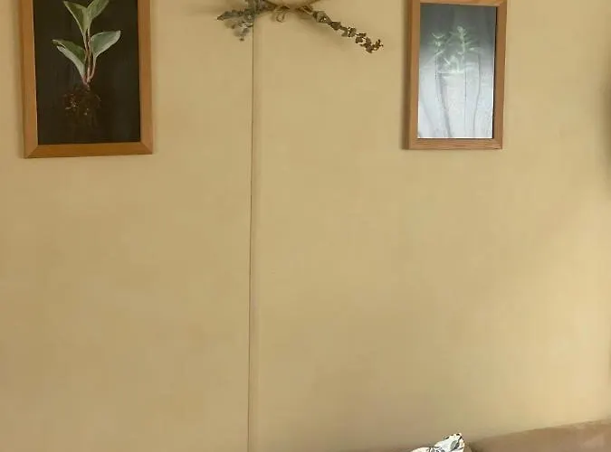 Nice Little House 아파트 바르셀로나